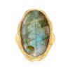 Oval Labradorite Textured and Polished Ring in 18kt Gold Over Sterling
