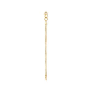 1.1mm 14kt Yellow Gold Box-Chain Extender